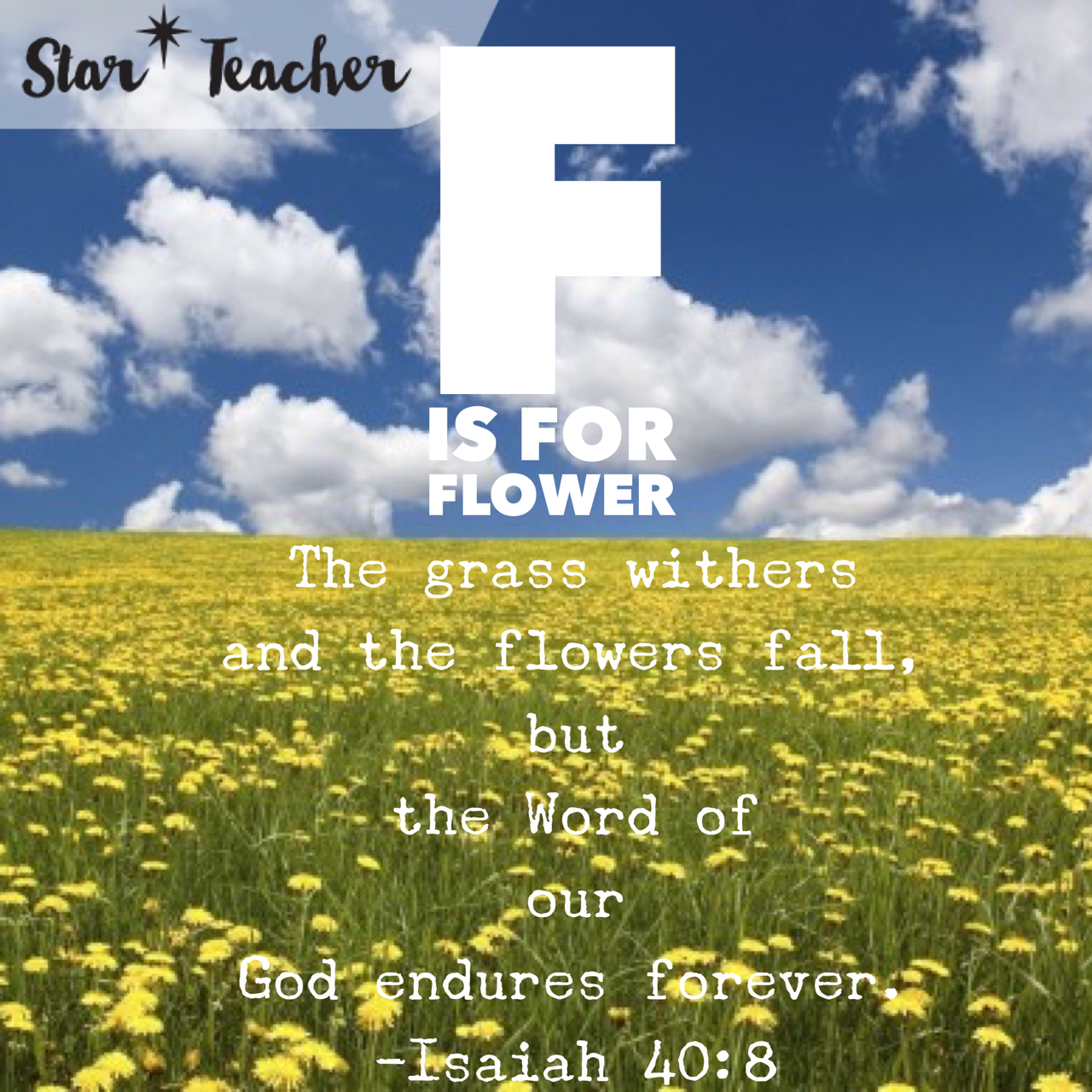 F is for Flower