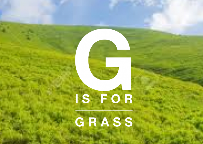 G is for Grass